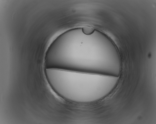 X0000093571379200710151008