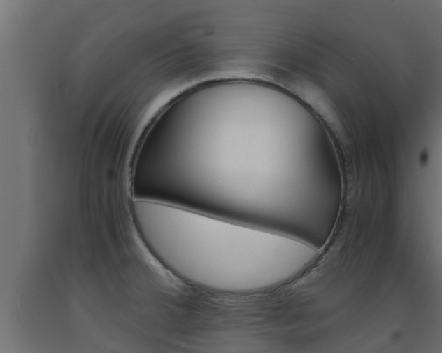 X0000093571380200710151008
