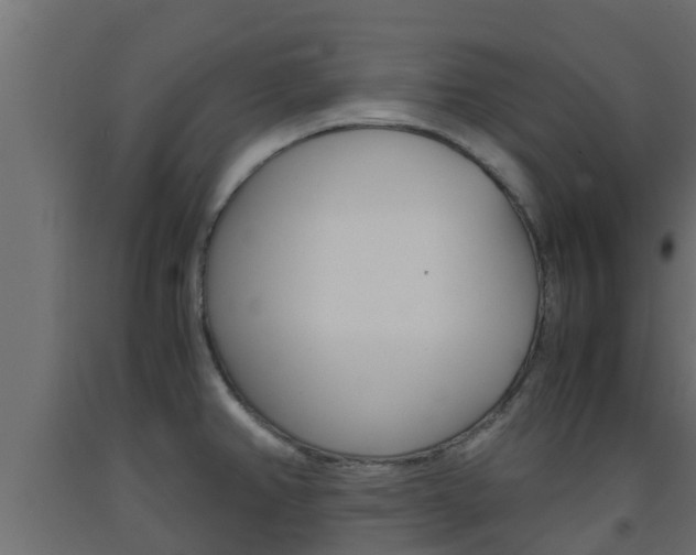 X0000093571382200710151008