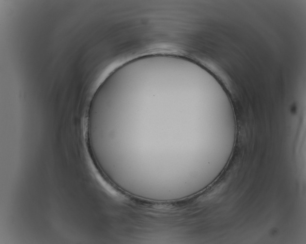 X0000093571383200710151008