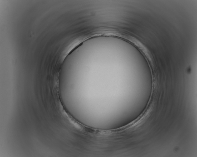 X0000093571385200710151007