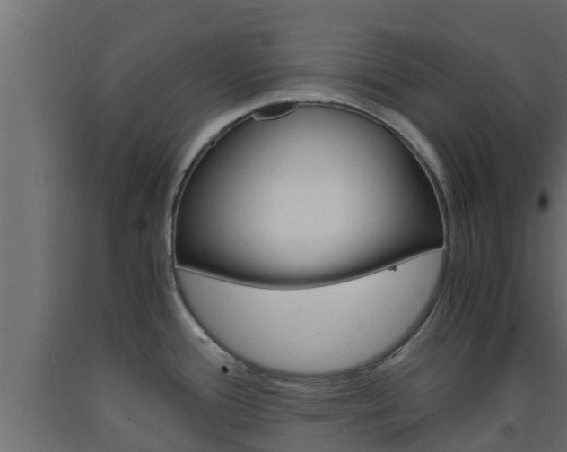 X0000093571388200710151007