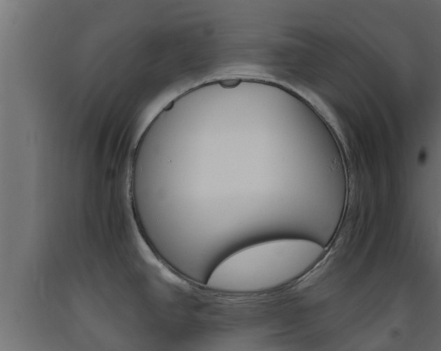 X0000093571390200710151007