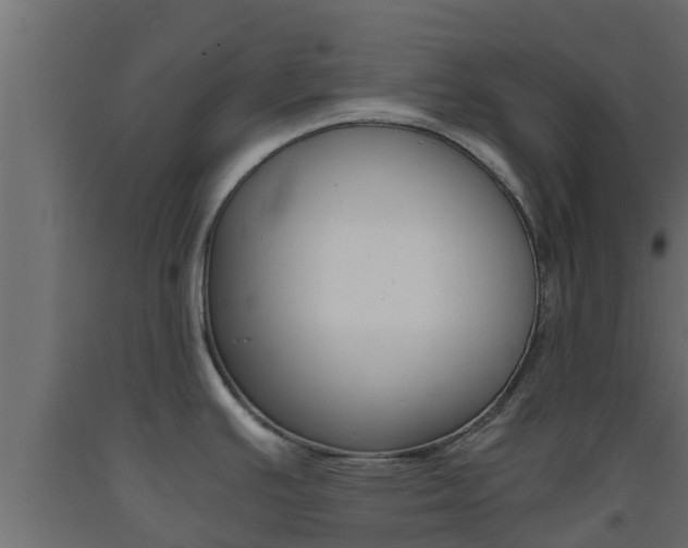 X0000093571391200710151007