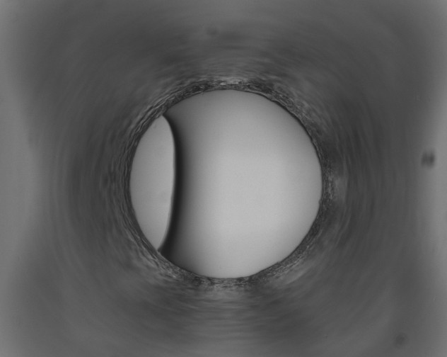 X0000093571393200710151007
