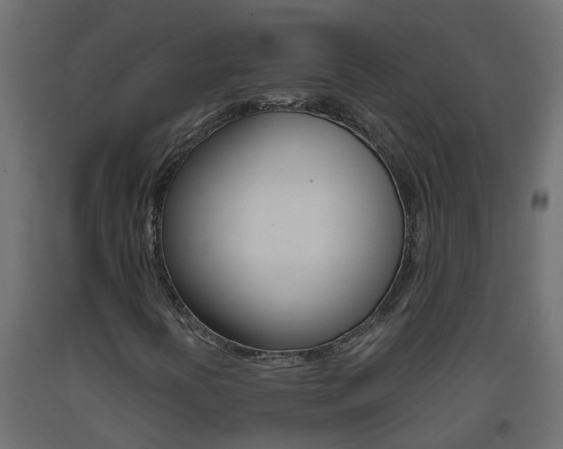 X0000093571394200710151007