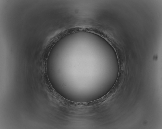 X0000093571398200710151007