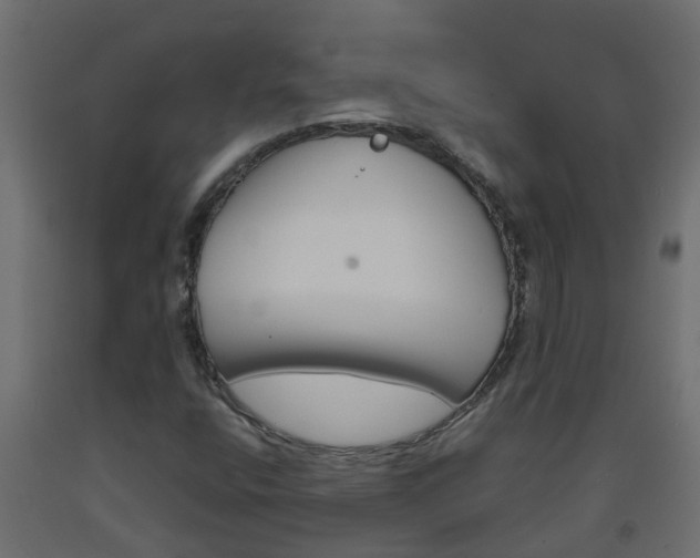 X0000093571400200710151007