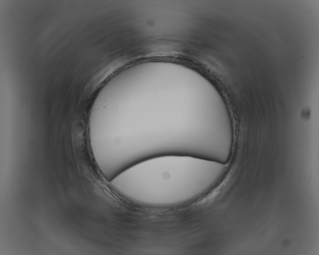 X0000093571401200710151007