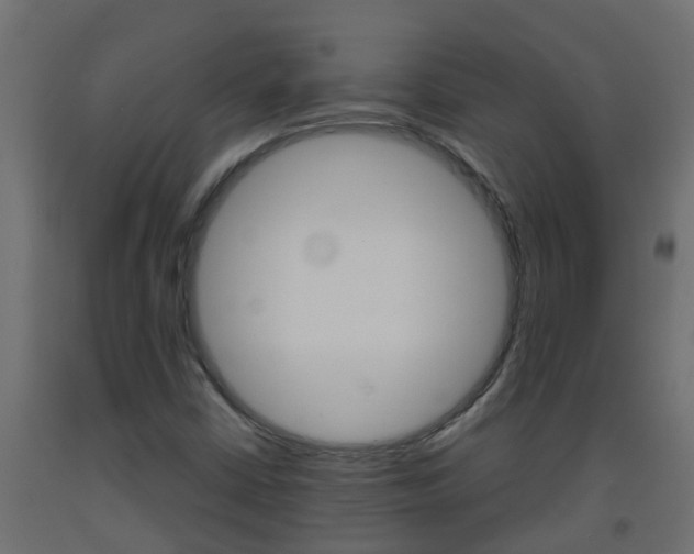X0000093571402200710151007