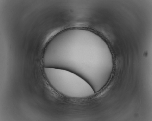 X0000093571405200710151007