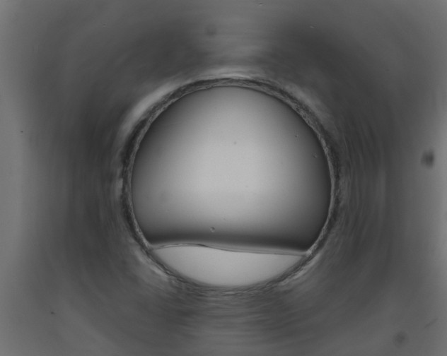 X0000093571406200710151007