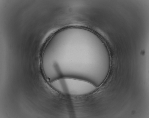 X0000093571408200710151007