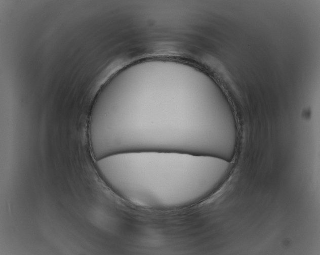X0000093571409200710151007