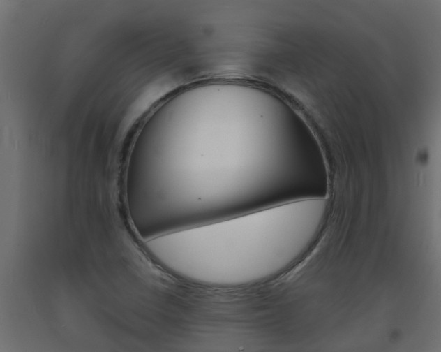 X0000093571410200710151007