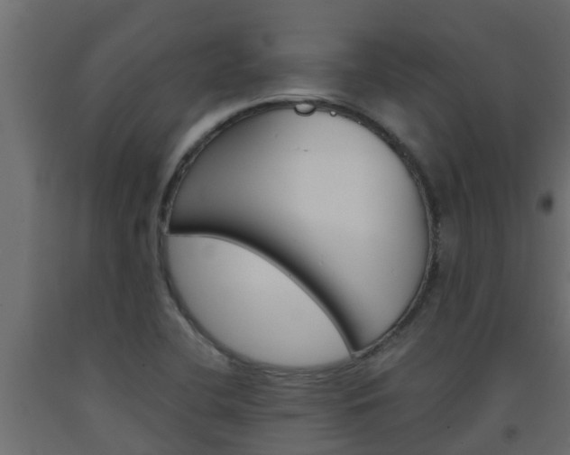X0000093571412200710151007