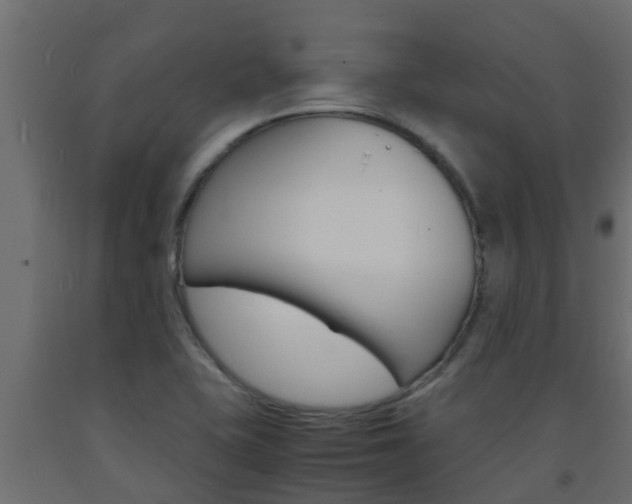 X0000093571415200710151007
