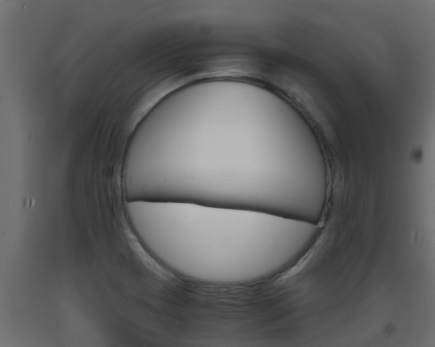 X0000093571417200710151007