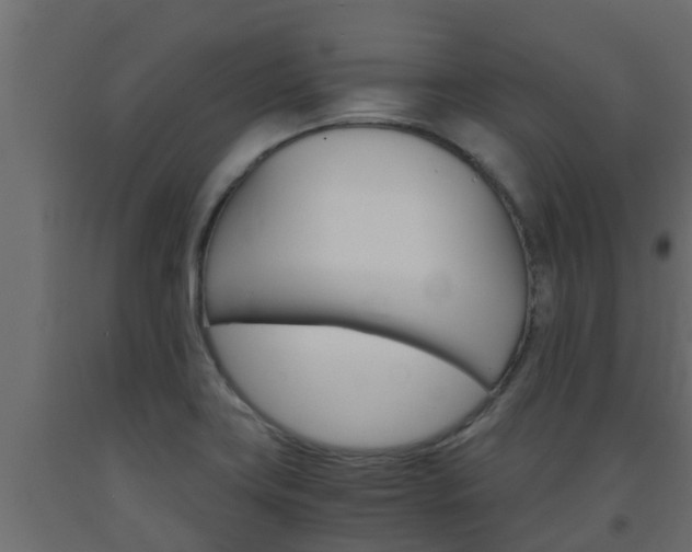 X0000093571419200710151007