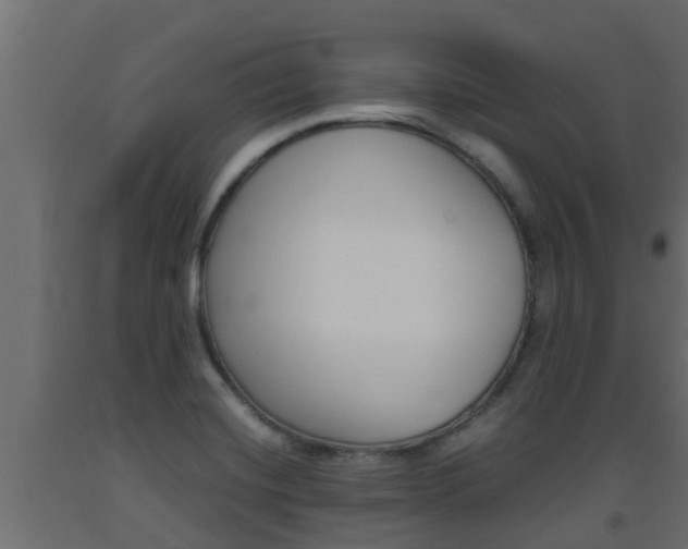 X0000093571420200710151007