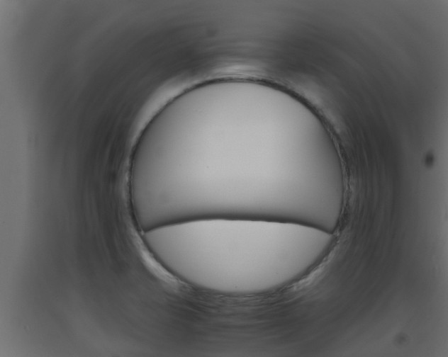 X0000093571421200710151007