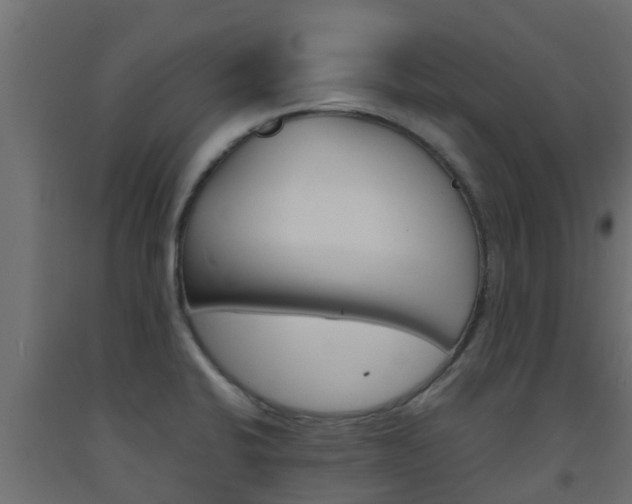 X0000093571424200710151007