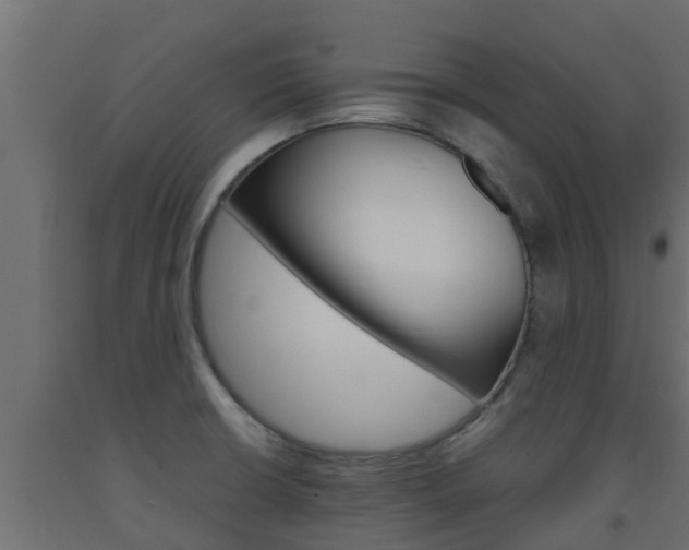 X0000093571426200710151007
