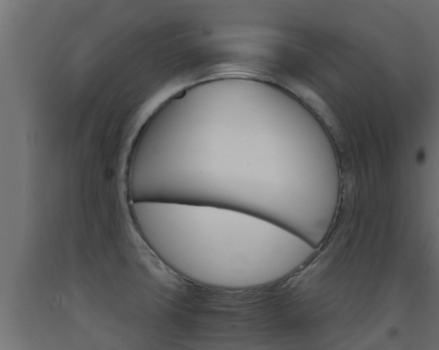 X0000093571427200710151007