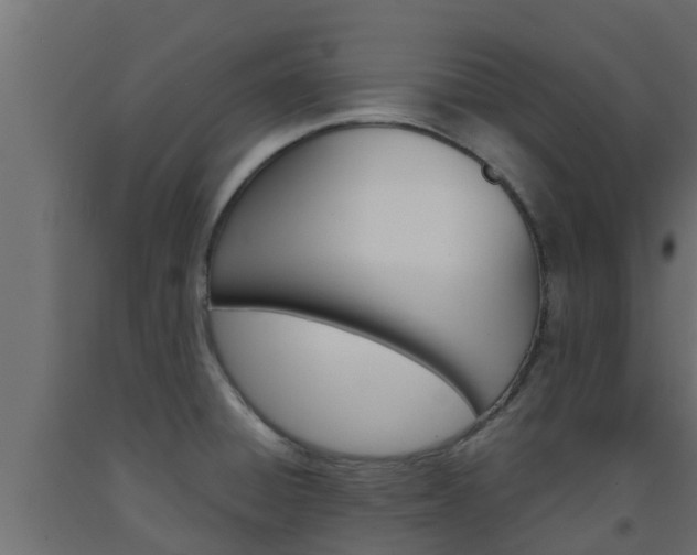 X0000093571428200710151007