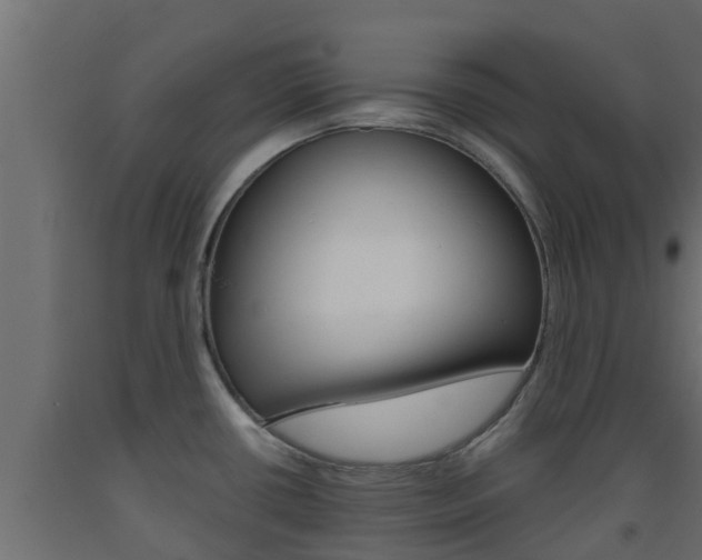 X0000093571434200710151007