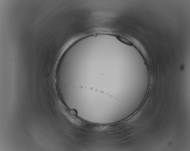 X0000093571435200710151007