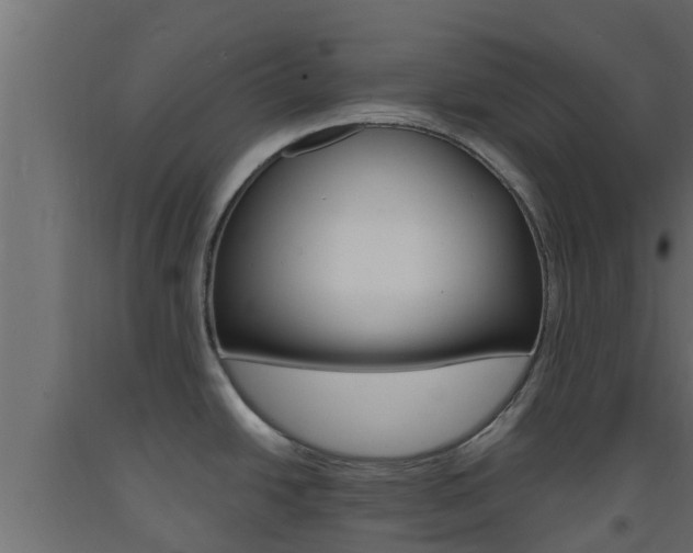 X0000093571438200710151007