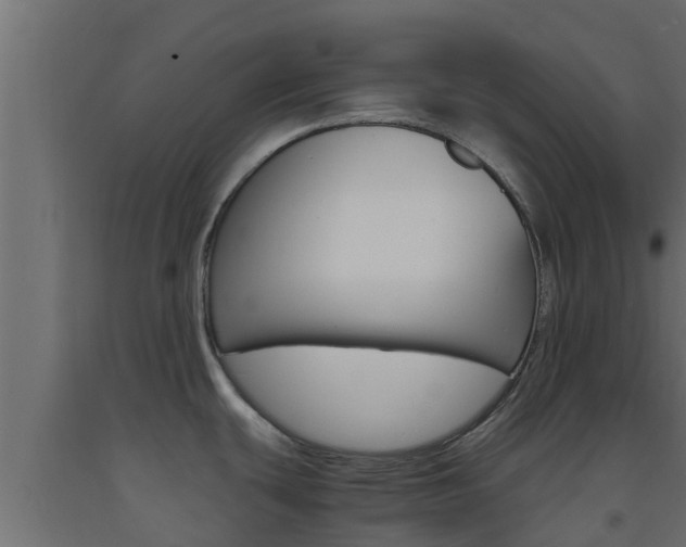 X0000093571439200710151007