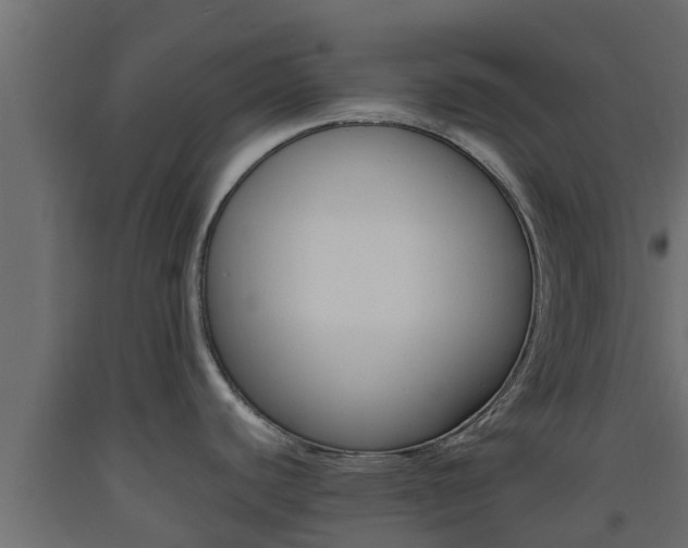 X0000093571440200710151007