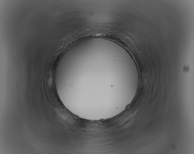 X0000093571442200710151007