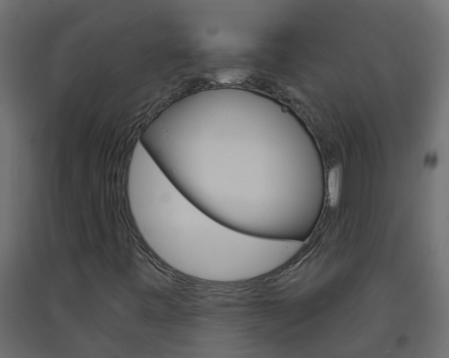 X0000093571443200710151007