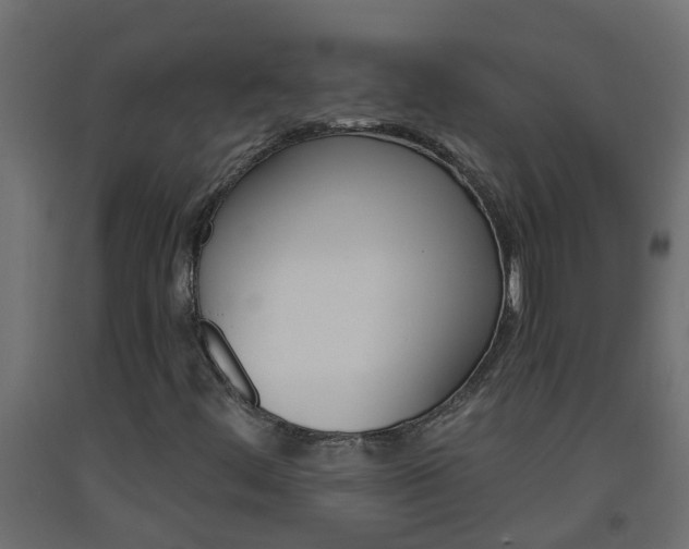X0000093571444200710151007