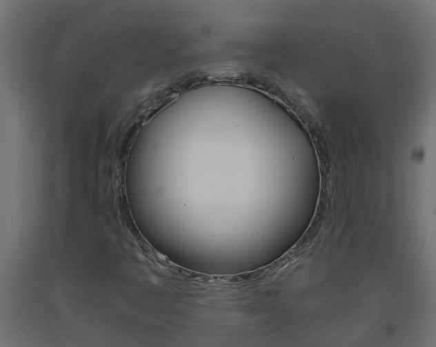 X0000093571445200710151007