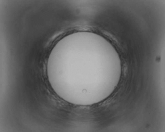 X0000093571446200710151007
