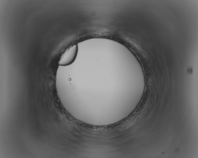 X0000093571447200710151007