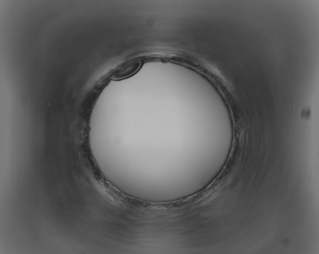 X0000093571448200710151007