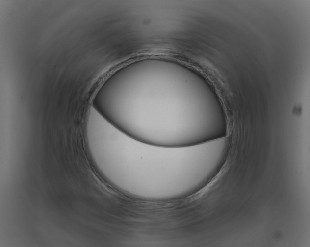 X0000093571449200710151007