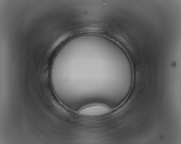 X0000093571450200710151006