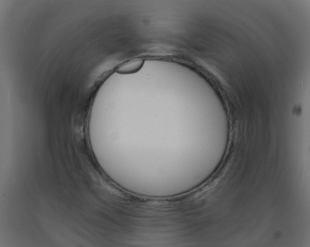 X0000093571451200710151006