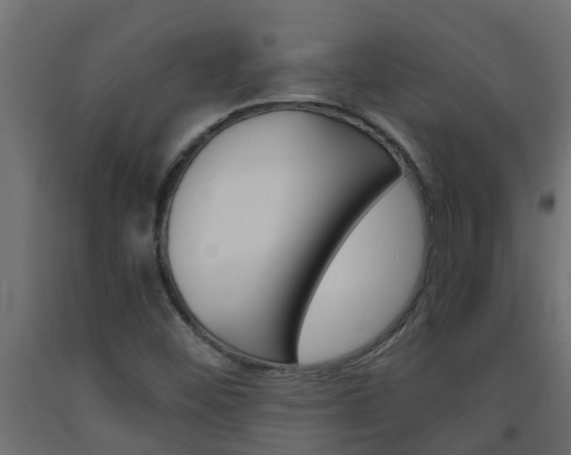 X0000093571452200710151006