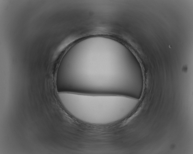X0000093571453200710151006