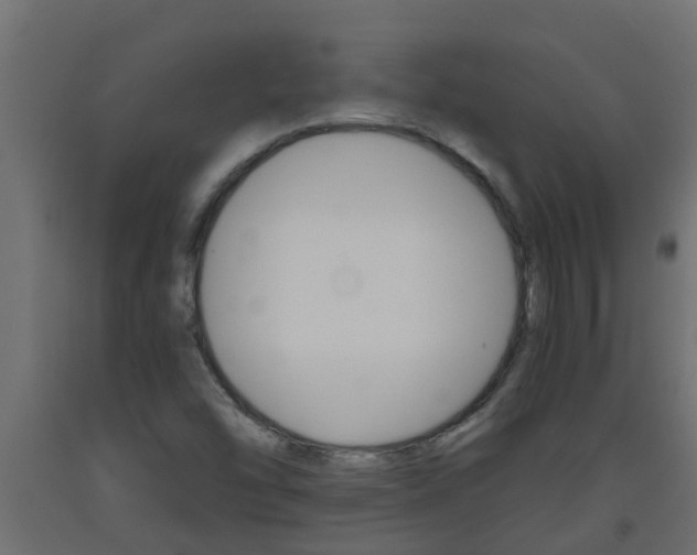 X0000093571454200710151006