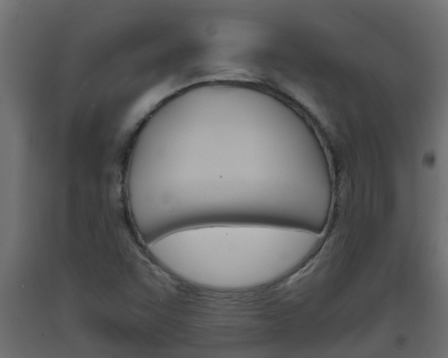 X0000093571455200710151006
