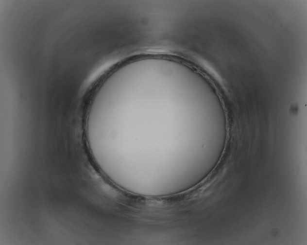 X0000093571456200710151006