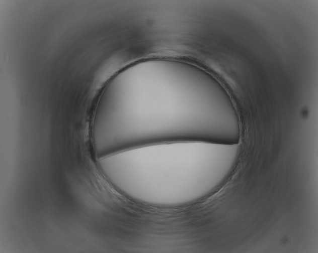 X0000093571459200710151006